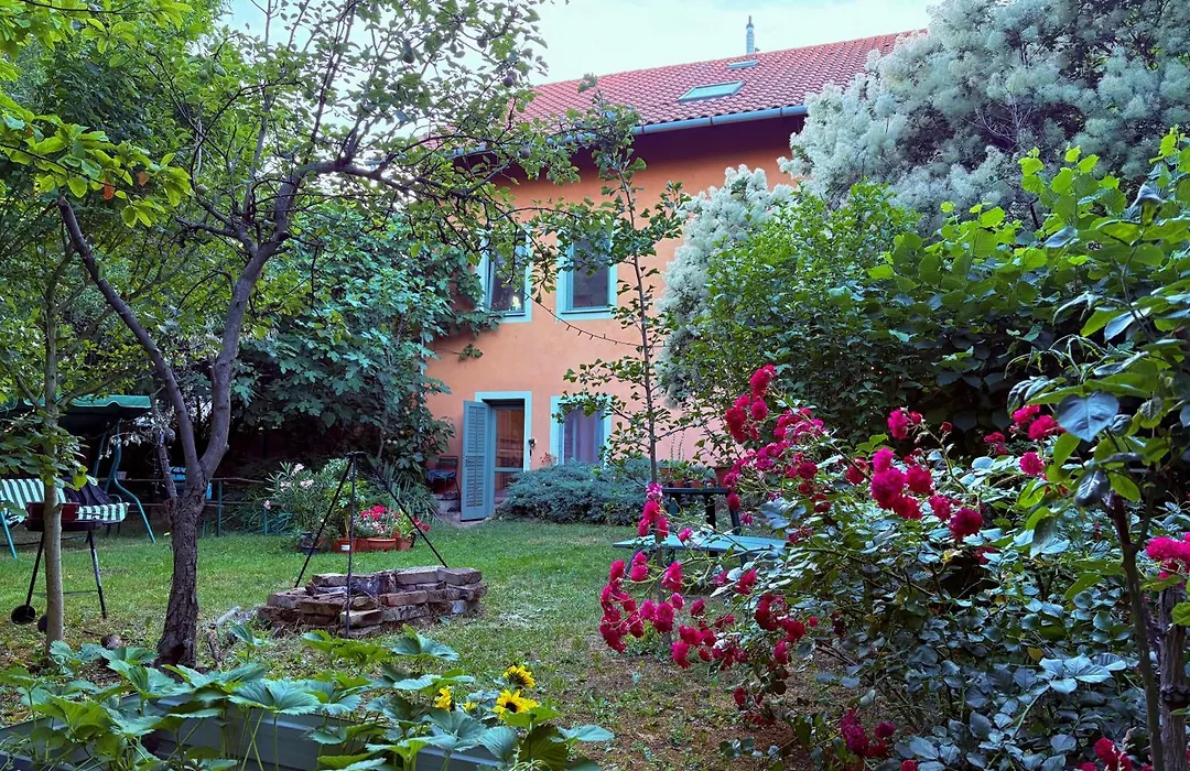 The Buda Side Garden - Dorms & Private Rooms-1