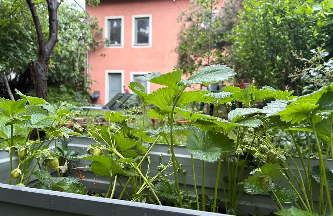 Budapest Garden Hostel-1